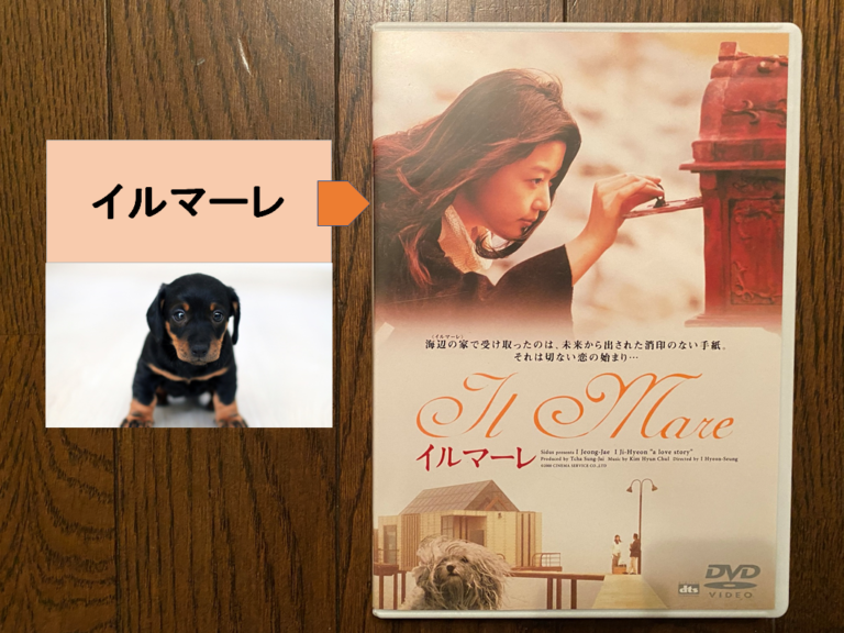 【映画レビュー】『イルマーレ』を見た感想です。 Nogu Blog